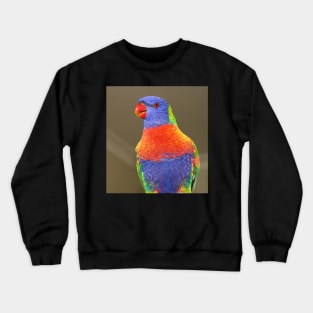 Rainbow Lorikeet Crewneck Sweatshirt